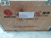 Поршневая группа двигателя Weichai WD615G220 612600900074