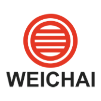 Двигатель в сборе Weichai WD10G220E11 (DHD10G0156*01)