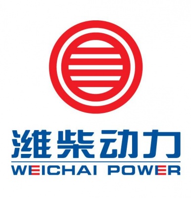 Поршневая группа Weichai WD615.97C 